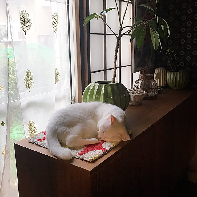 nyanko-beamさんの実例写真