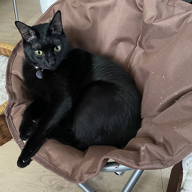 coolcats0528さんの部屋