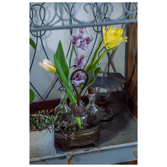 ayamaruさんの部屋