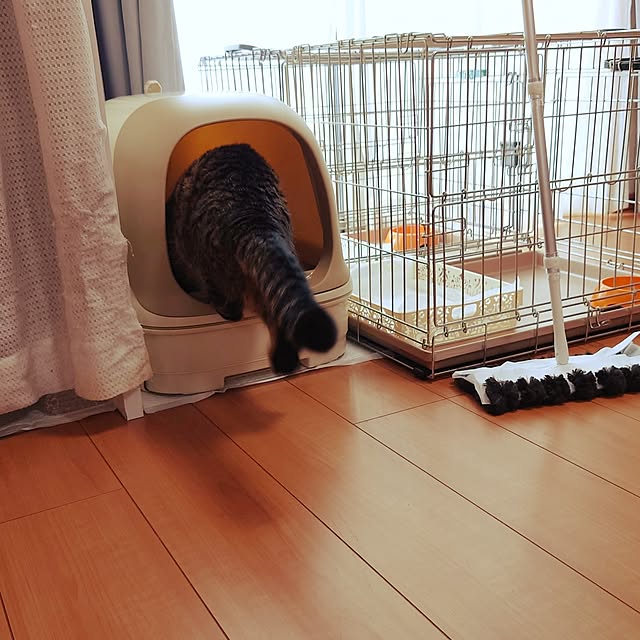 noguriさんの部屋