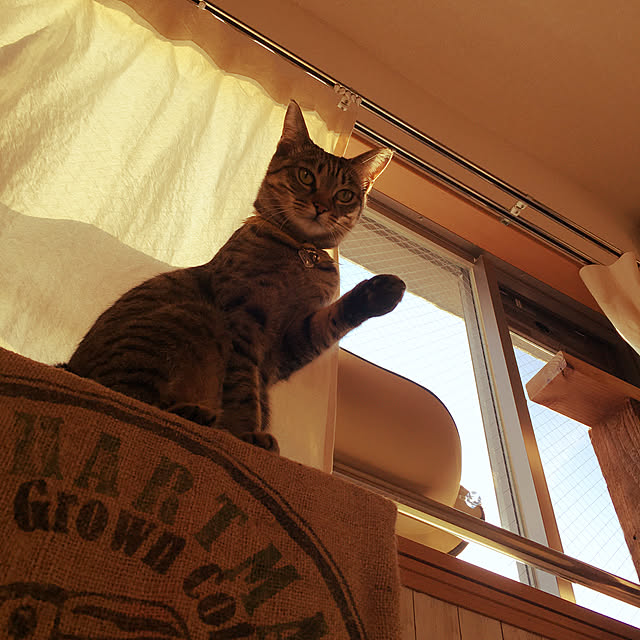 Mさんの実例写真