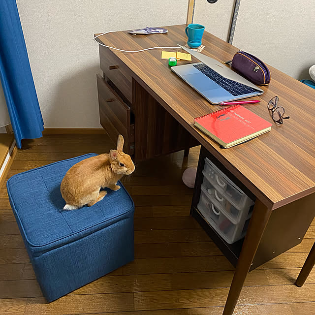 sayaさんの実例写真