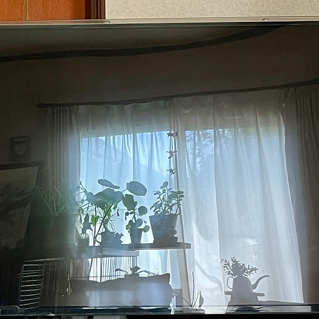 cotaさんの実例写真