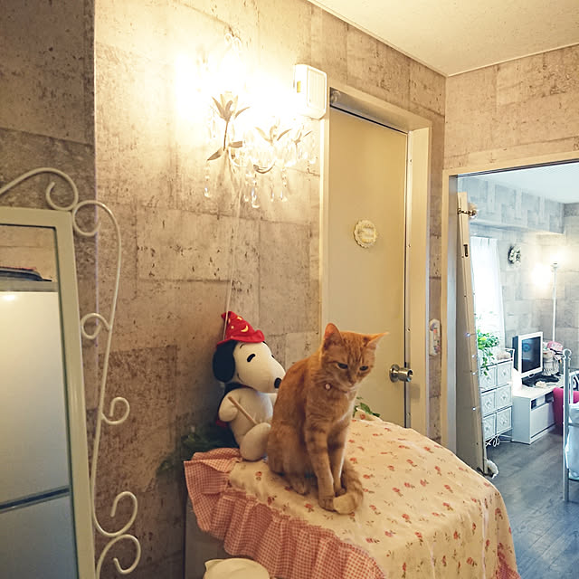 asuminさんの実例写真