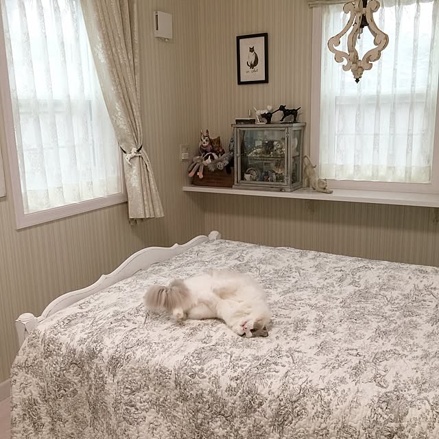 yuchiさんの実例写真