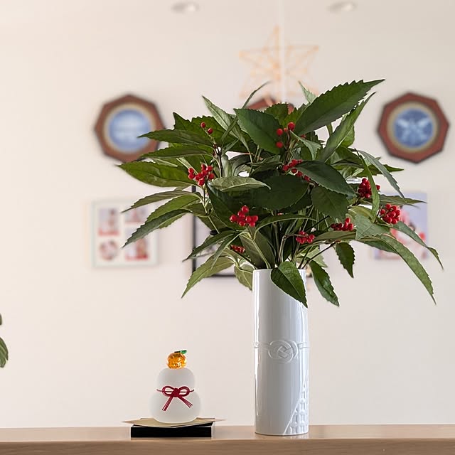 naoさんの実例写真