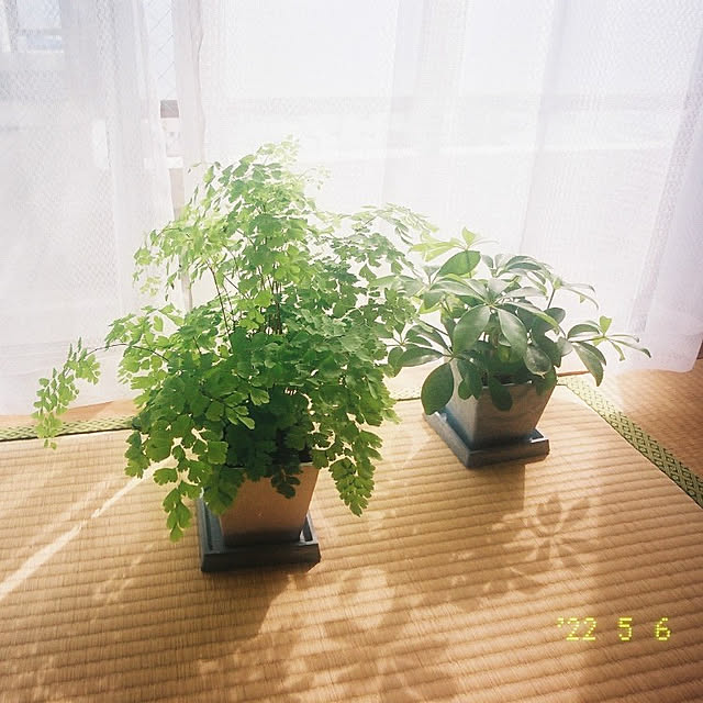 kitaさんの実例写真