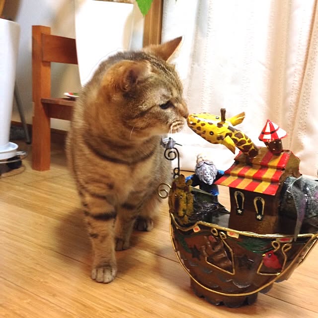 monpさんの実例写真