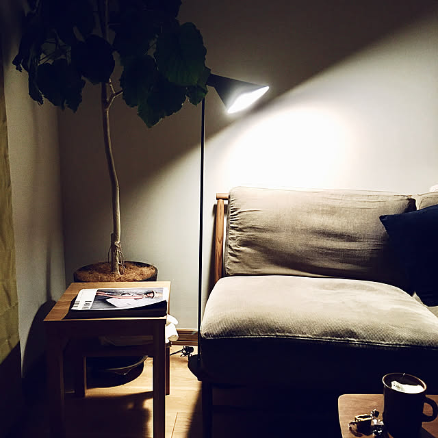 springさんの実例写真