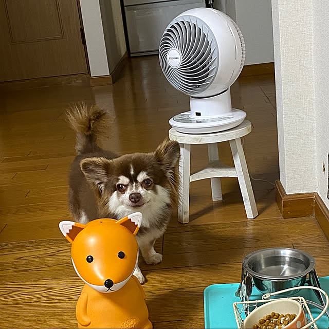 chIoeさんの実例写真