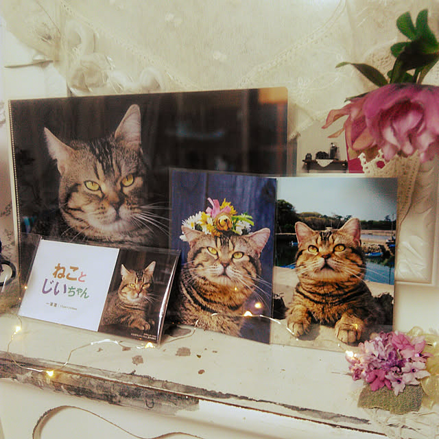 showさんの実例写真
