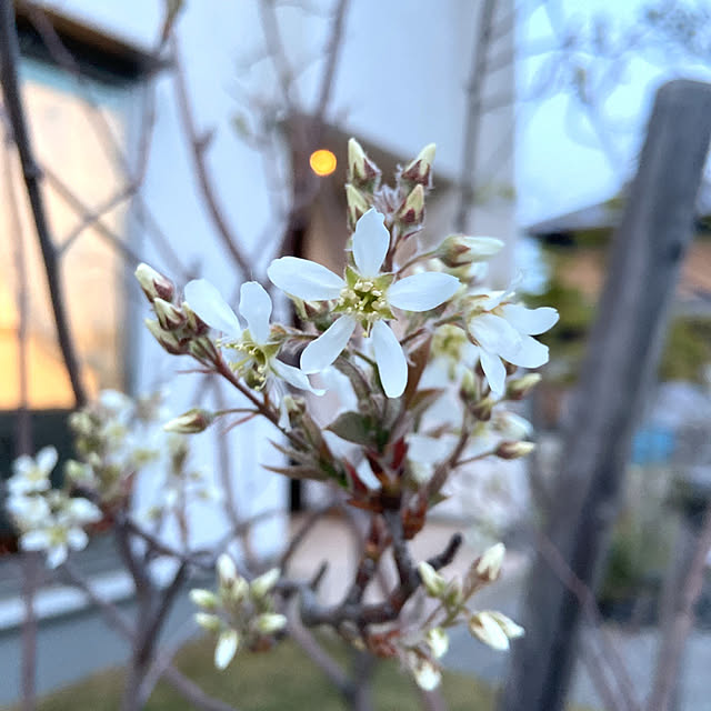 fumofumoさんの実例写真