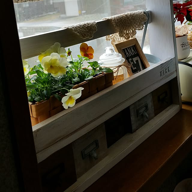 hitomiさんの実例写真