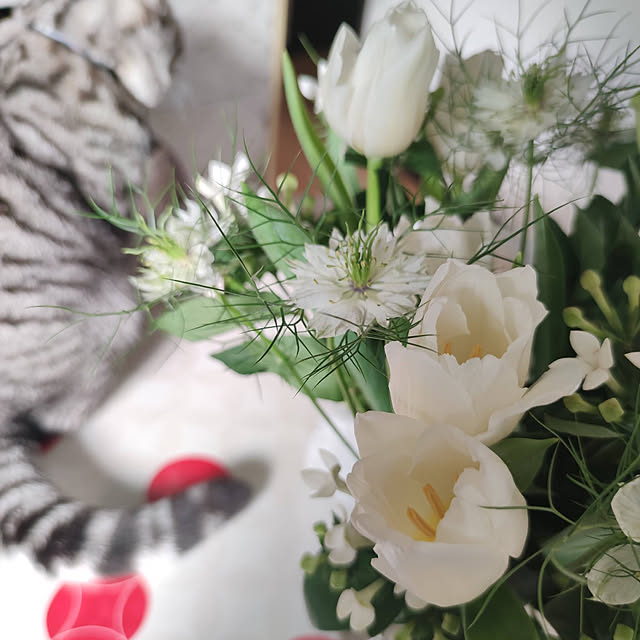 hiro3さんの実例写真