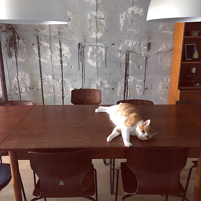 lalaさんの実例写真