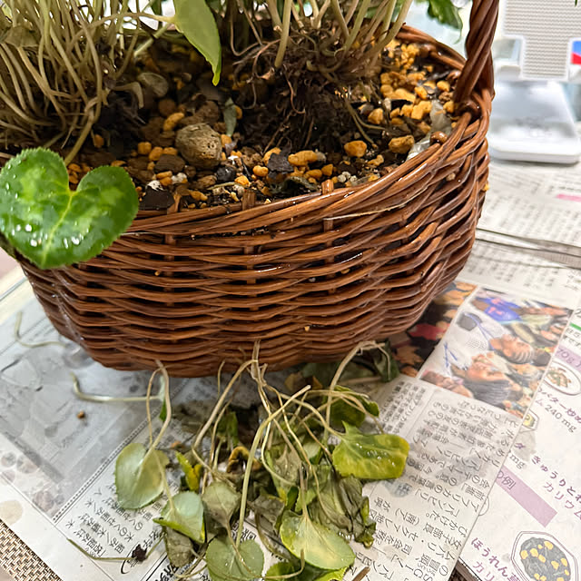 Aqettyさんの部屋