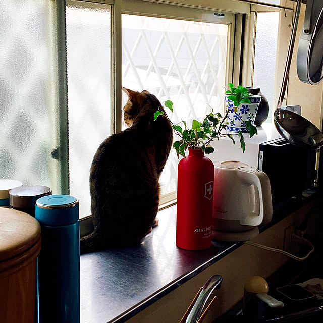 nobikoさんの実例写真