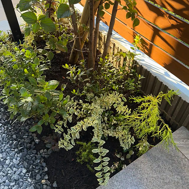 Minaさんの実例写真