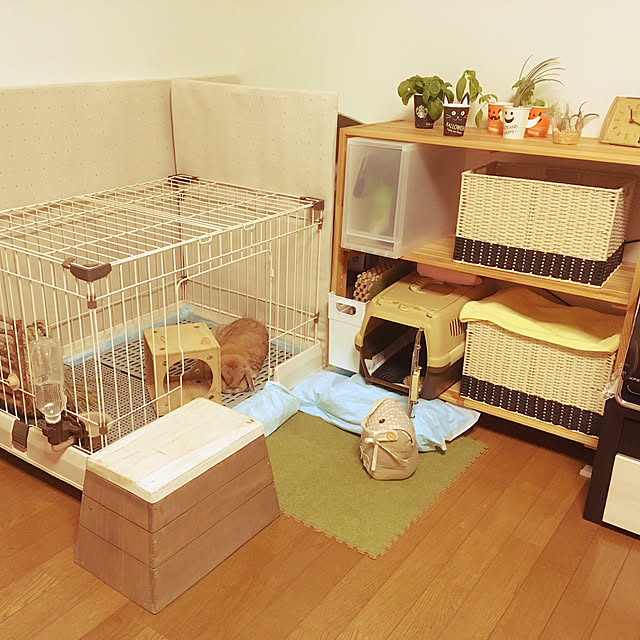 ackoさんの実例写真