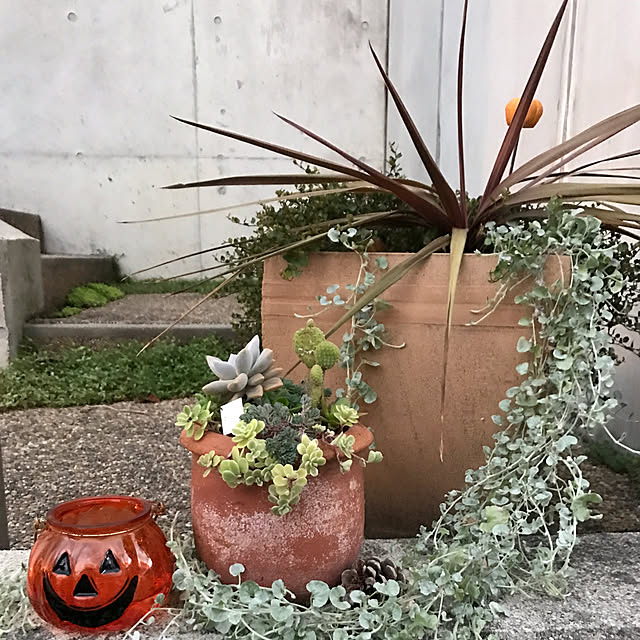 kakorinさんの実例写真