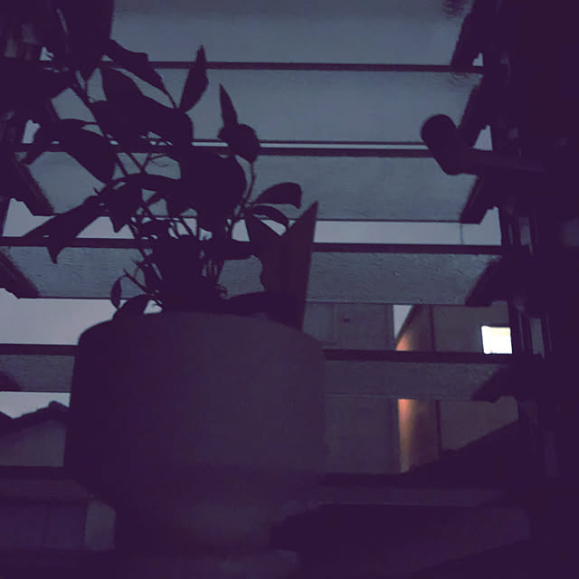 chacoさんの実例写真