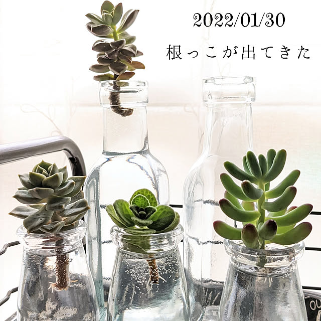 tamiさんの実例写真
