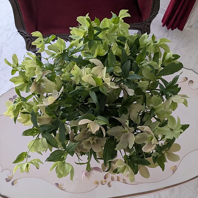 machikomamaさんの部屋