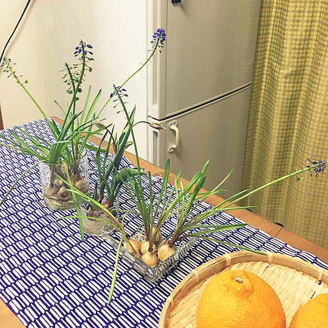 rikaさんの実例写真