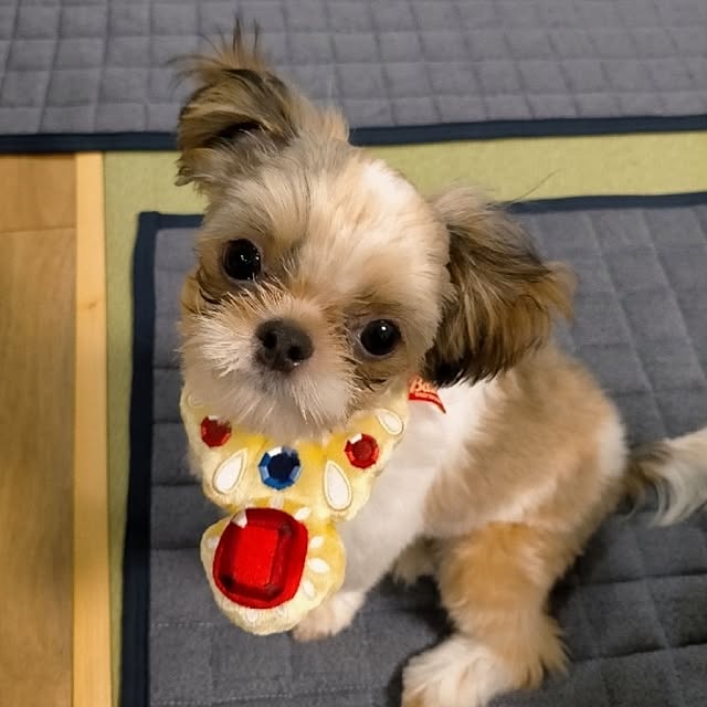 maryさんの実例写真