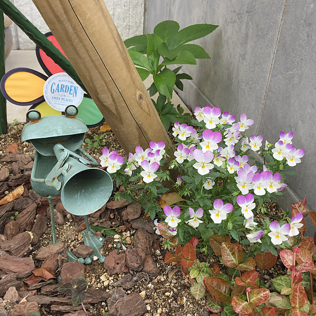 kotoka_tさんの実例写真