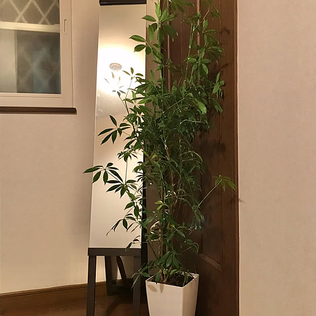 tararaさんの実例写真
