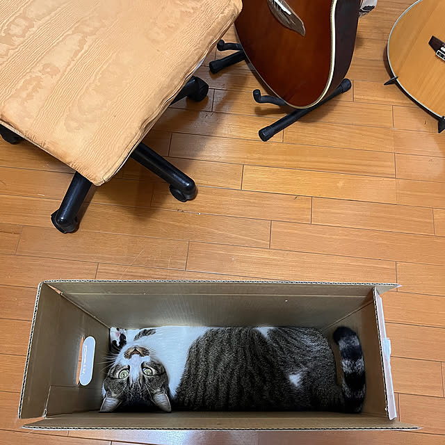jijiさんの部屋