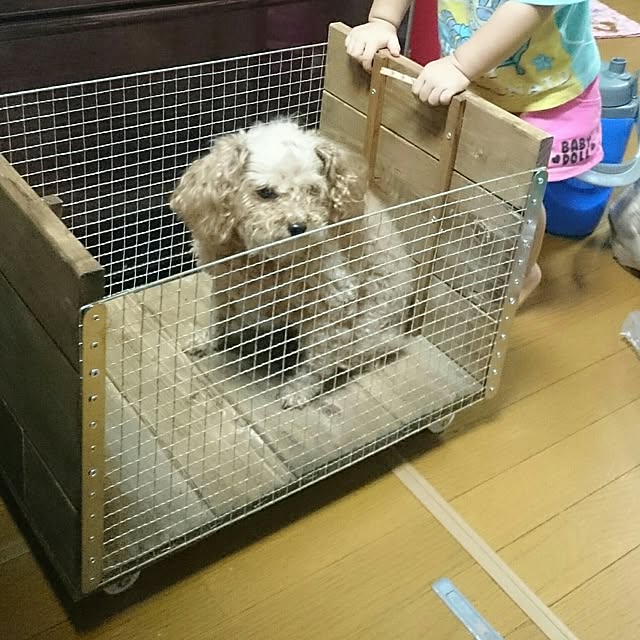 rika-snyさんの実例写真