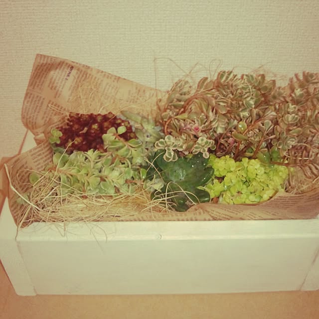 chi-taroさんの実例写真