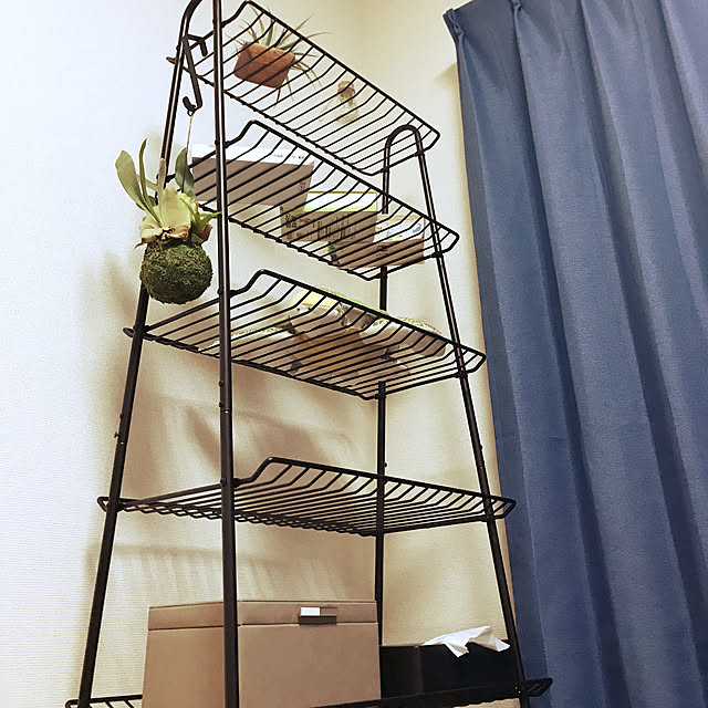 aymさんの実例写真