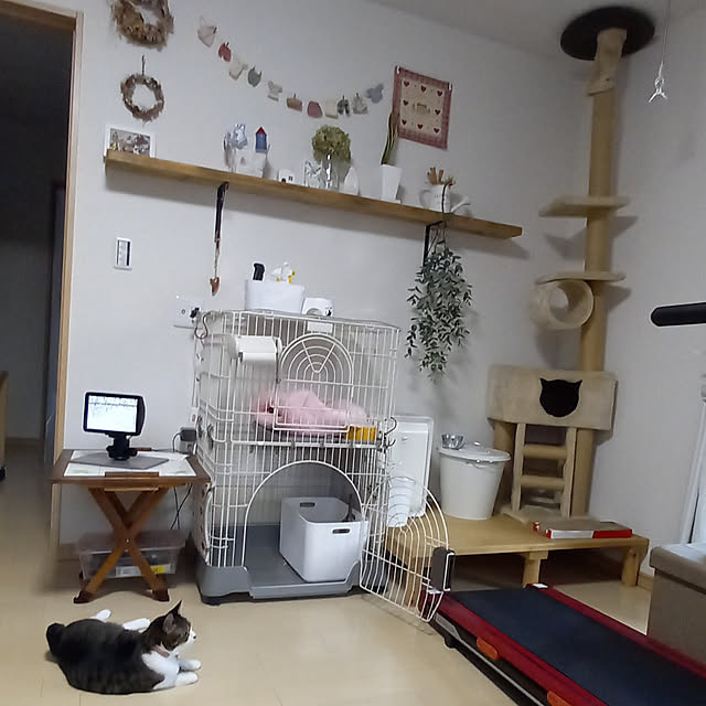 civicglさんの実例写真