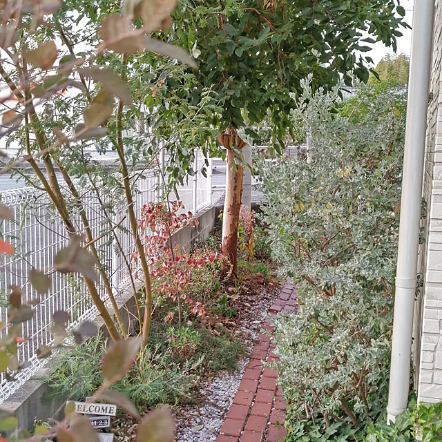 eriponさんの実例写真