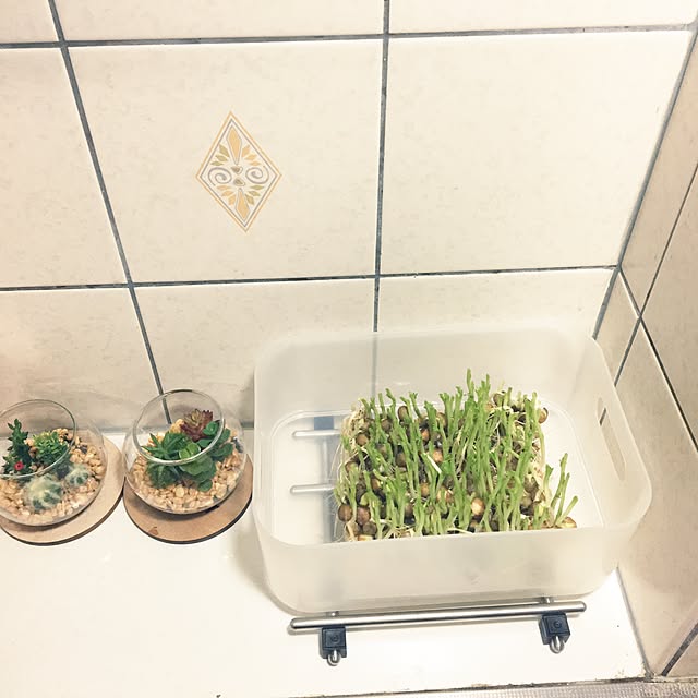 ohanaさんの実例写真