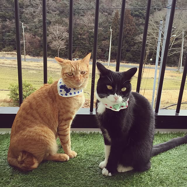 mtkさんの実例写真