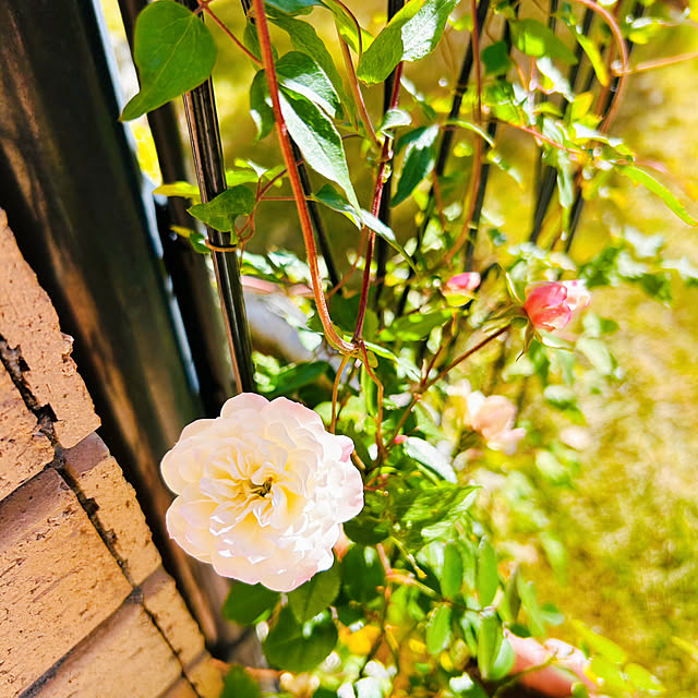 sunabaさんの部屋