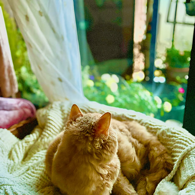 naokoさんの部屋