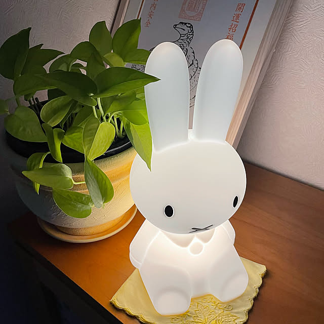toraさんの実例写真