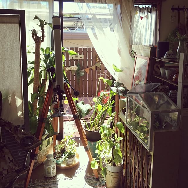 painmomoさんの実例写真