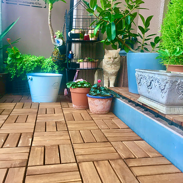 naokoさんの部屋