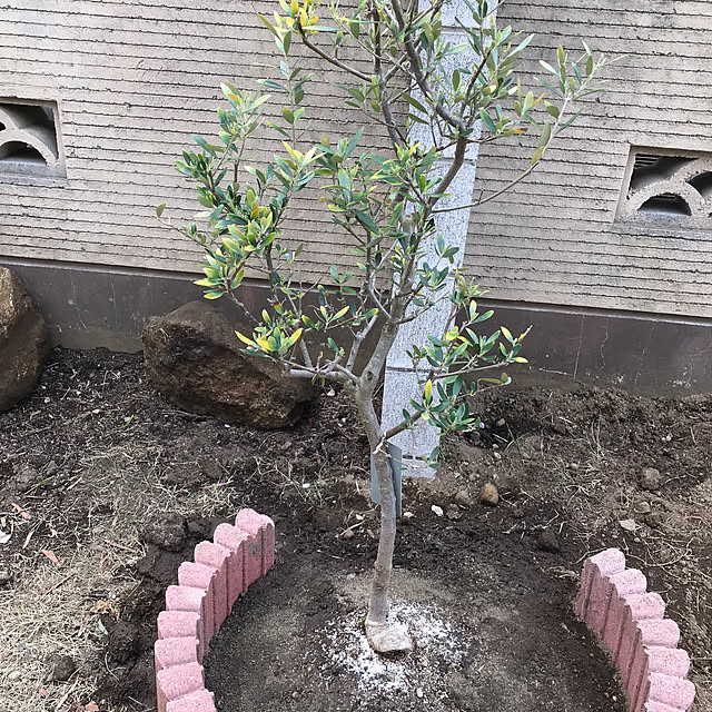 monchiさんの部屋
