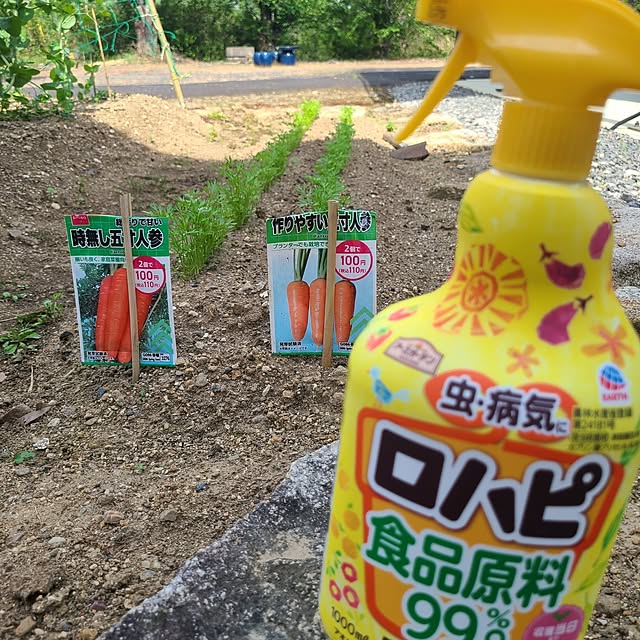 Rubiconさんの実例写真