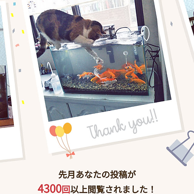 yukieさんの実例写真