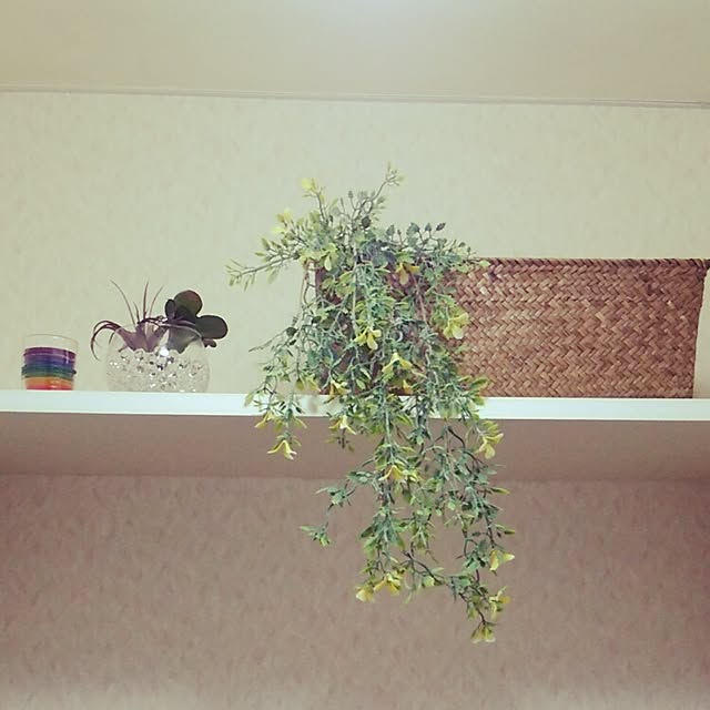 coco_pandaさんの実例写真