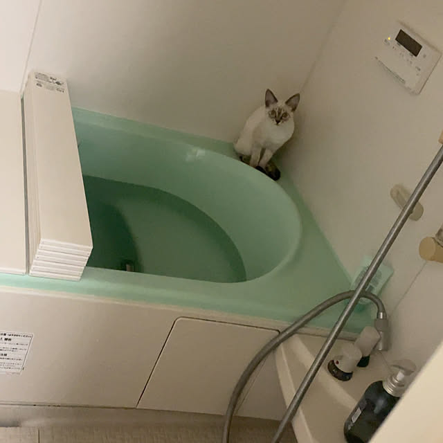 3ho5さんの実例写真