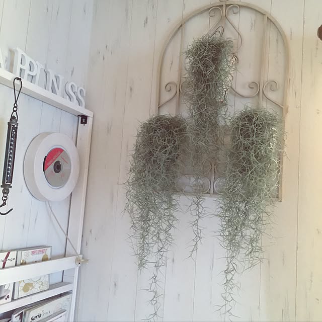 RURULOVEさんの実例写真